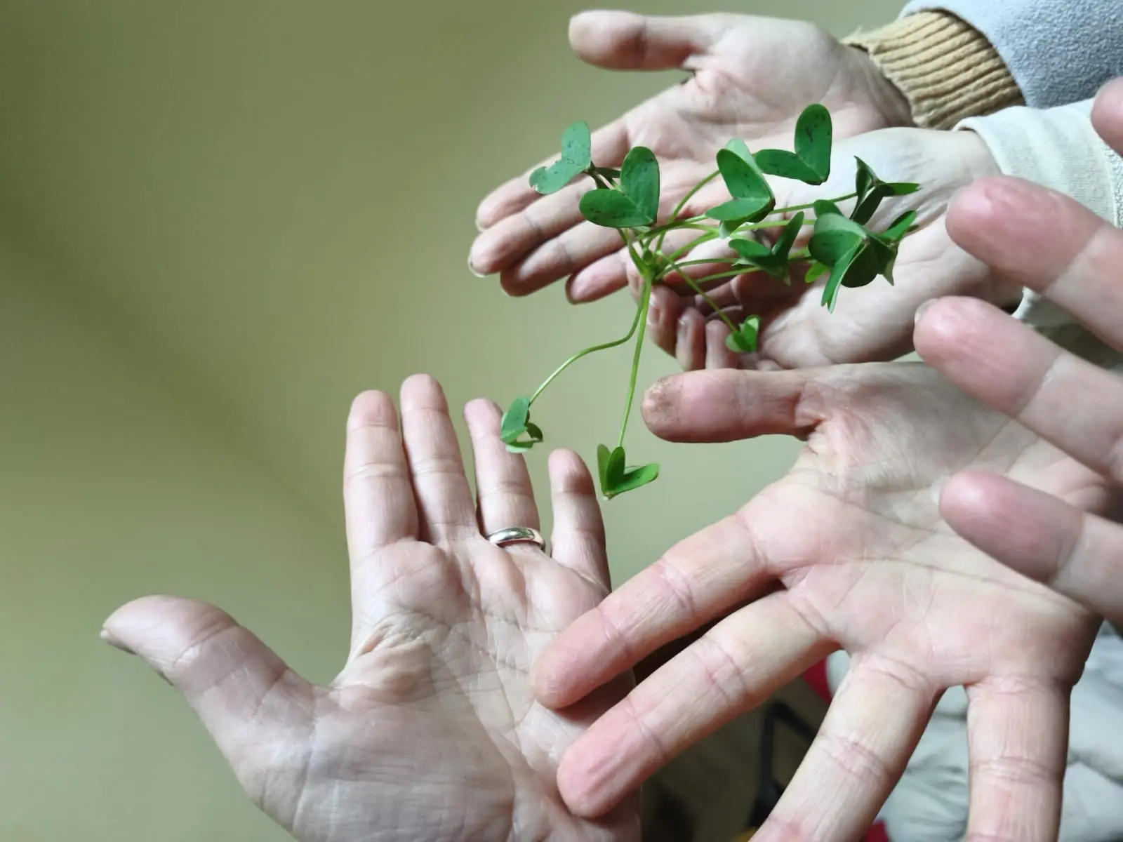 Constelações Familiares 21/12/2025